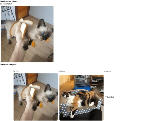 Jamstack Nuxt Storyblok